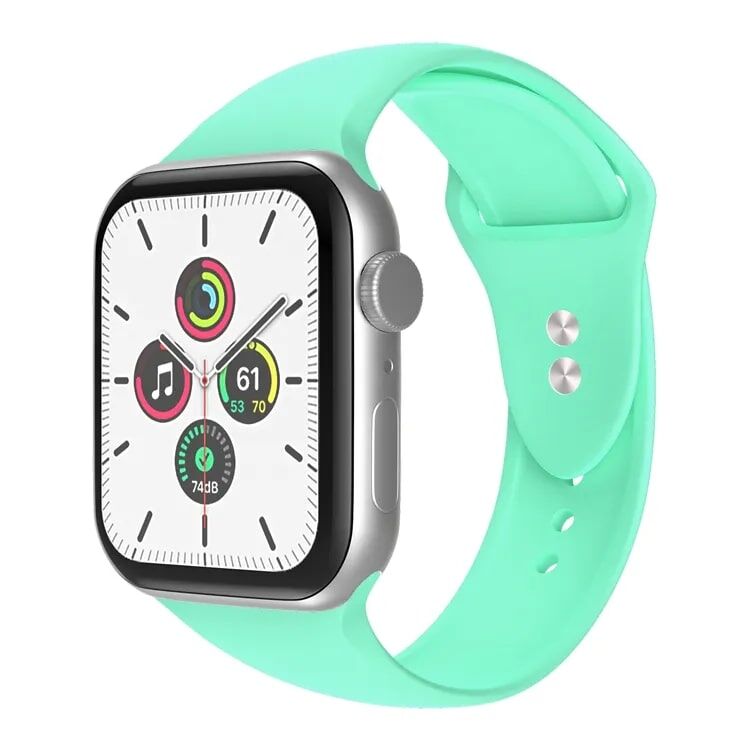 classic apple watch Quick Release watch Bands